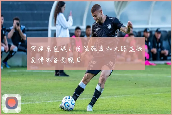 樊振东重返训练场强度加大膝盖恢复情况备受瞩目